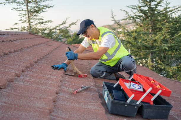 Best Roof Maintenance Services  in Pearisburg, VA