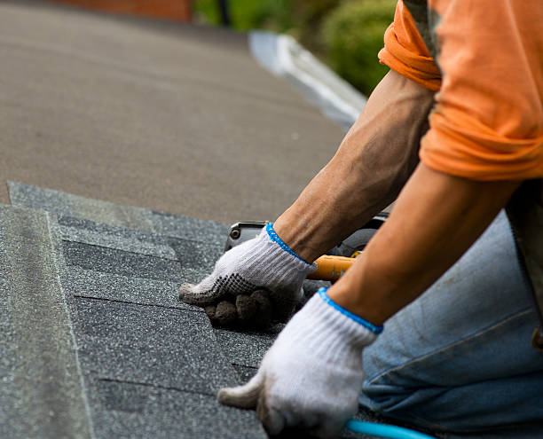 Best Roof Maintenance Services  in Pearisburg, VA